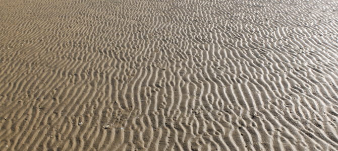 La vase de Ré, le sable d’Oléron