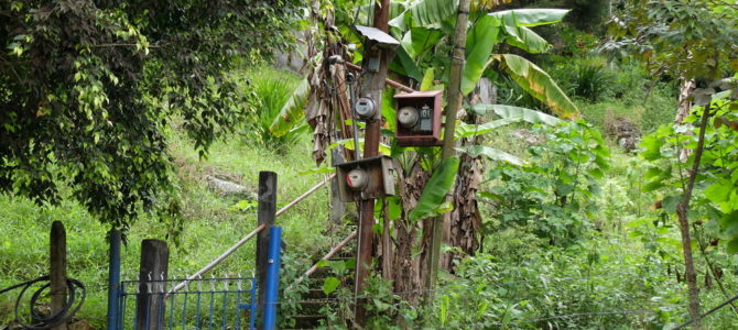 Costa Rica (1/3). 50 matices de verde-50 nuances de vert