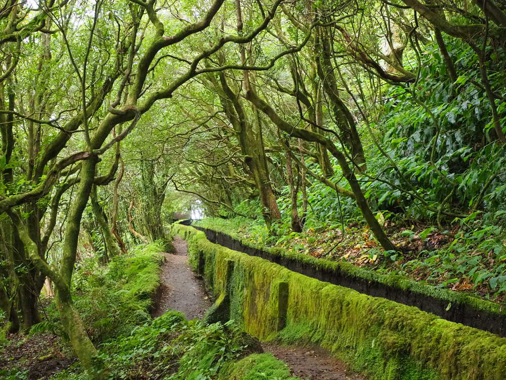 Les Açores – Las Azores (1/2)