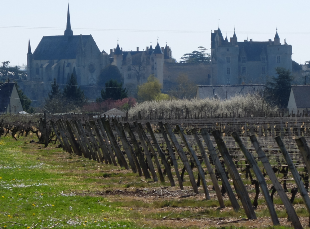Montreuil Bellay